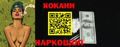 крисы Кингисепп