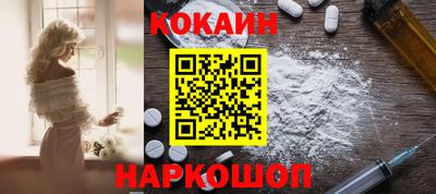 крисы Кингисепп