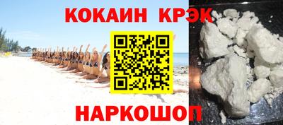 крисы Кингисепп