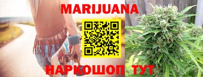 крисы Кингисепп