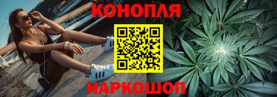 крисы Кингисепп