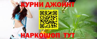 крисы Кингисепп