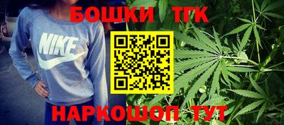 крисы Кингисепп