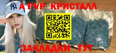 крисы Кингисепп