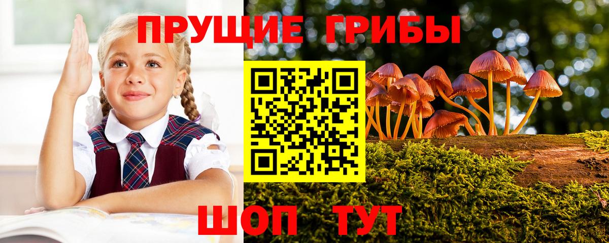 Псилоцибиновые грибы GOLDEN TEACHER  Вход с VPN  Псилоцибиновые грибы мицелий  Еманжелинск 