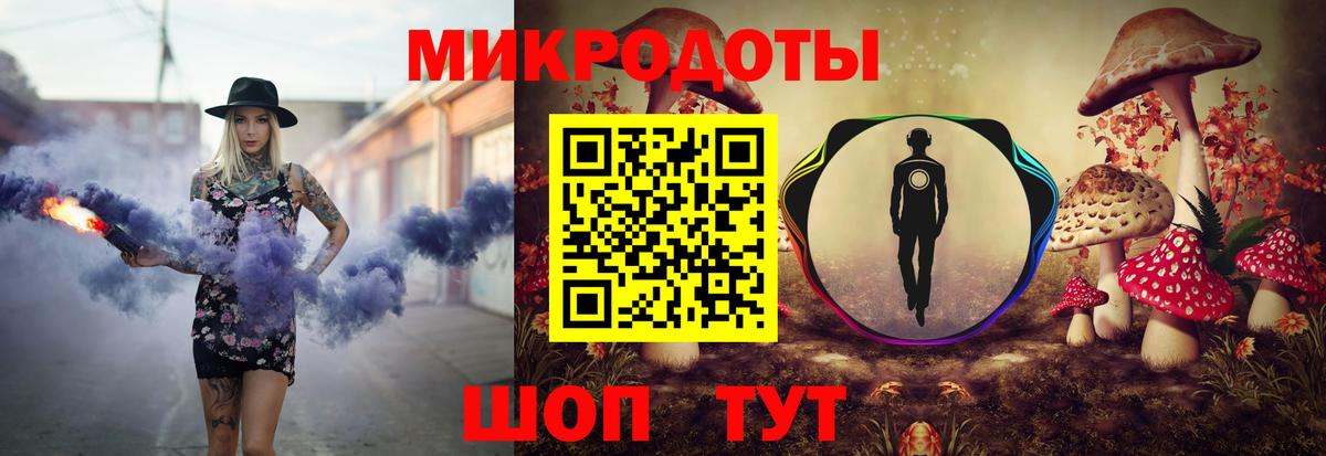 Псилоцибиновые грибы Psilocybe Еманжелинск